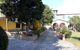 La Camelia B&B